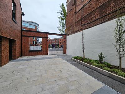 Picture 24